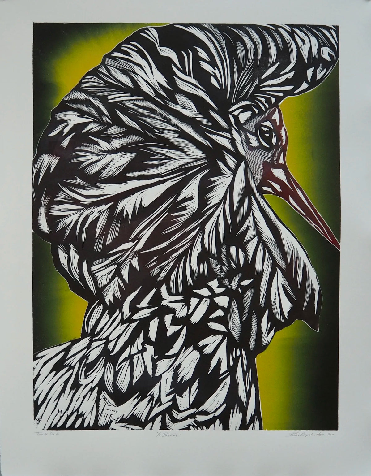 Brushane, tresnitt av Karin Augusta Nogva, 75 x 97 cm (ark)