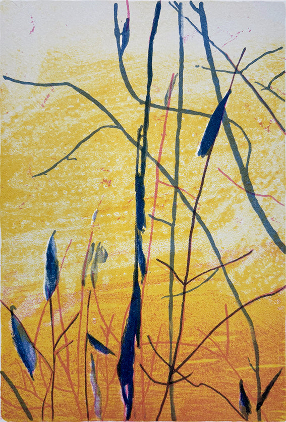 Kom og se, litografi av Anne Kristin Hagesæther, 12 x 17,5  cm (motiv)