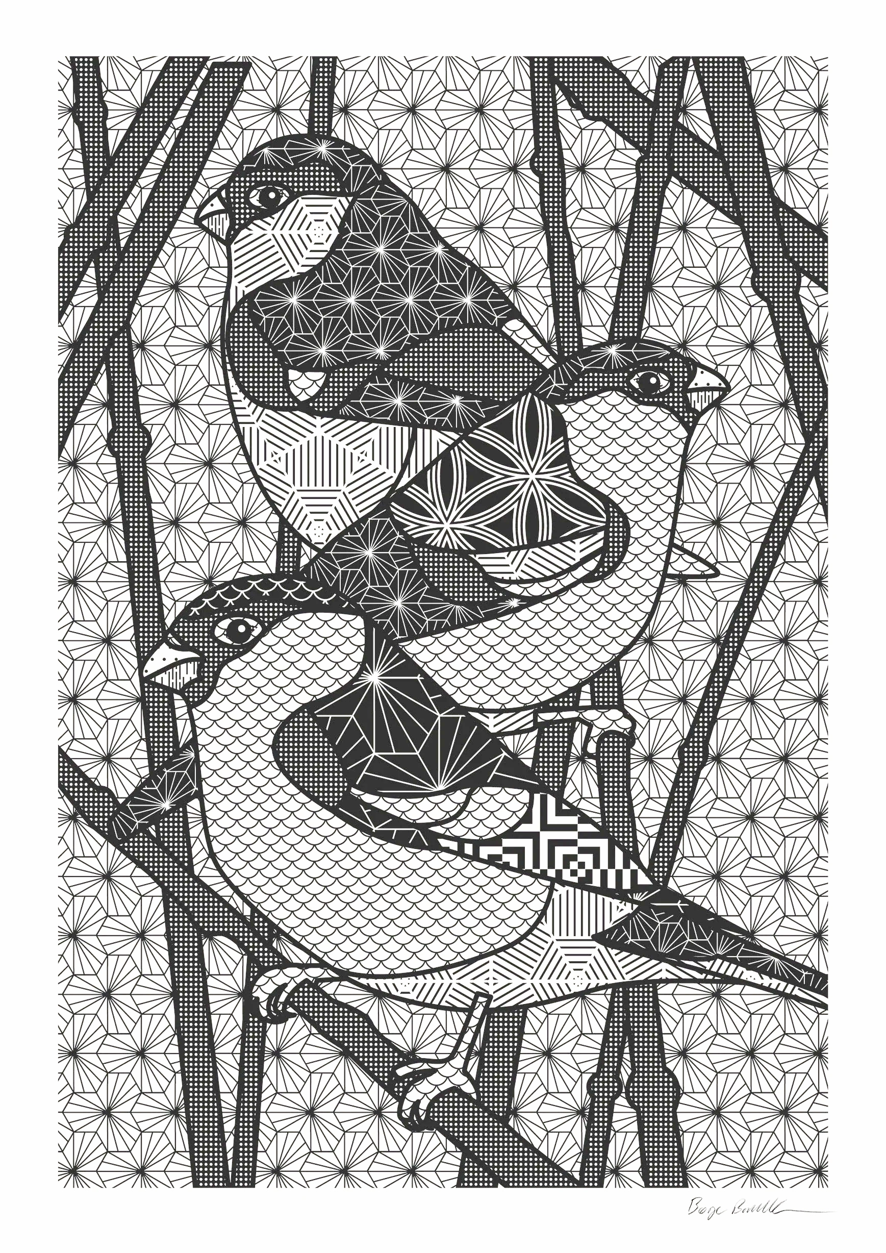 Birds