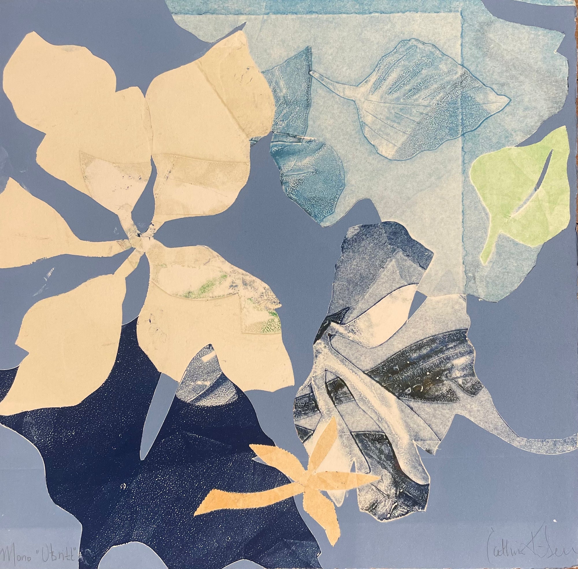 Utsnitt (mellomblå)