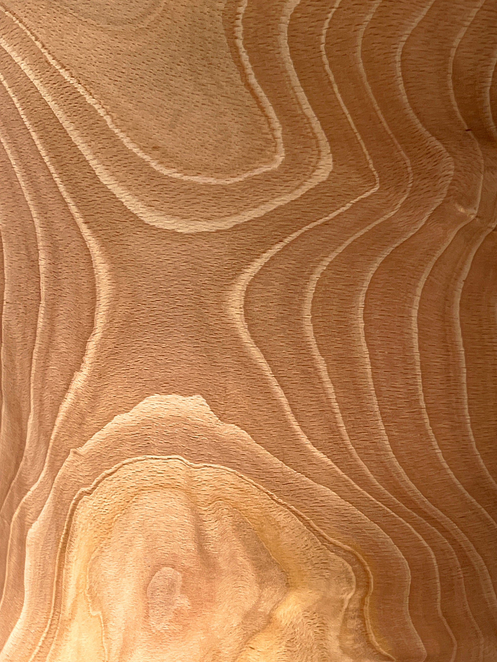 Skupturel organisk vase