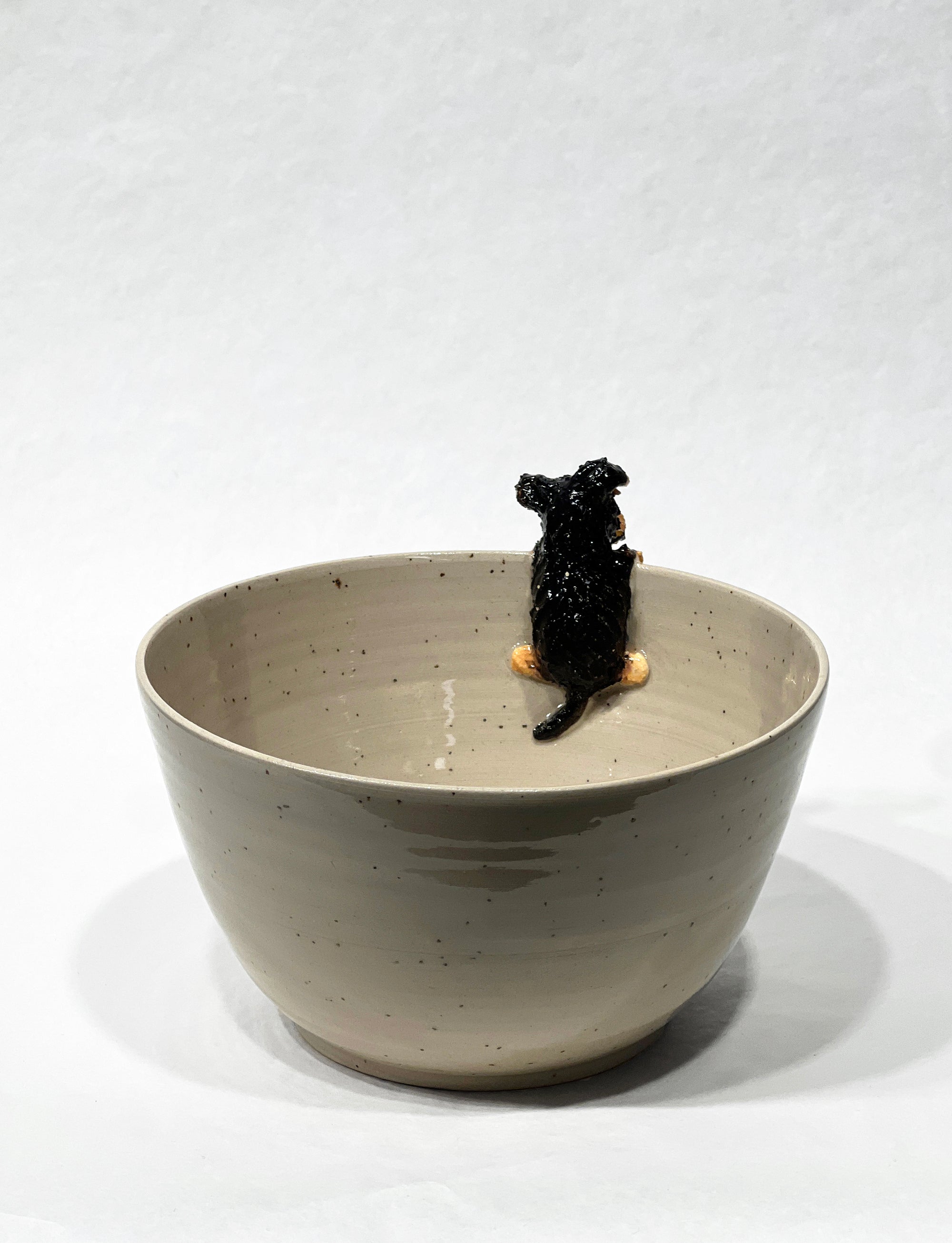 Skål med hund