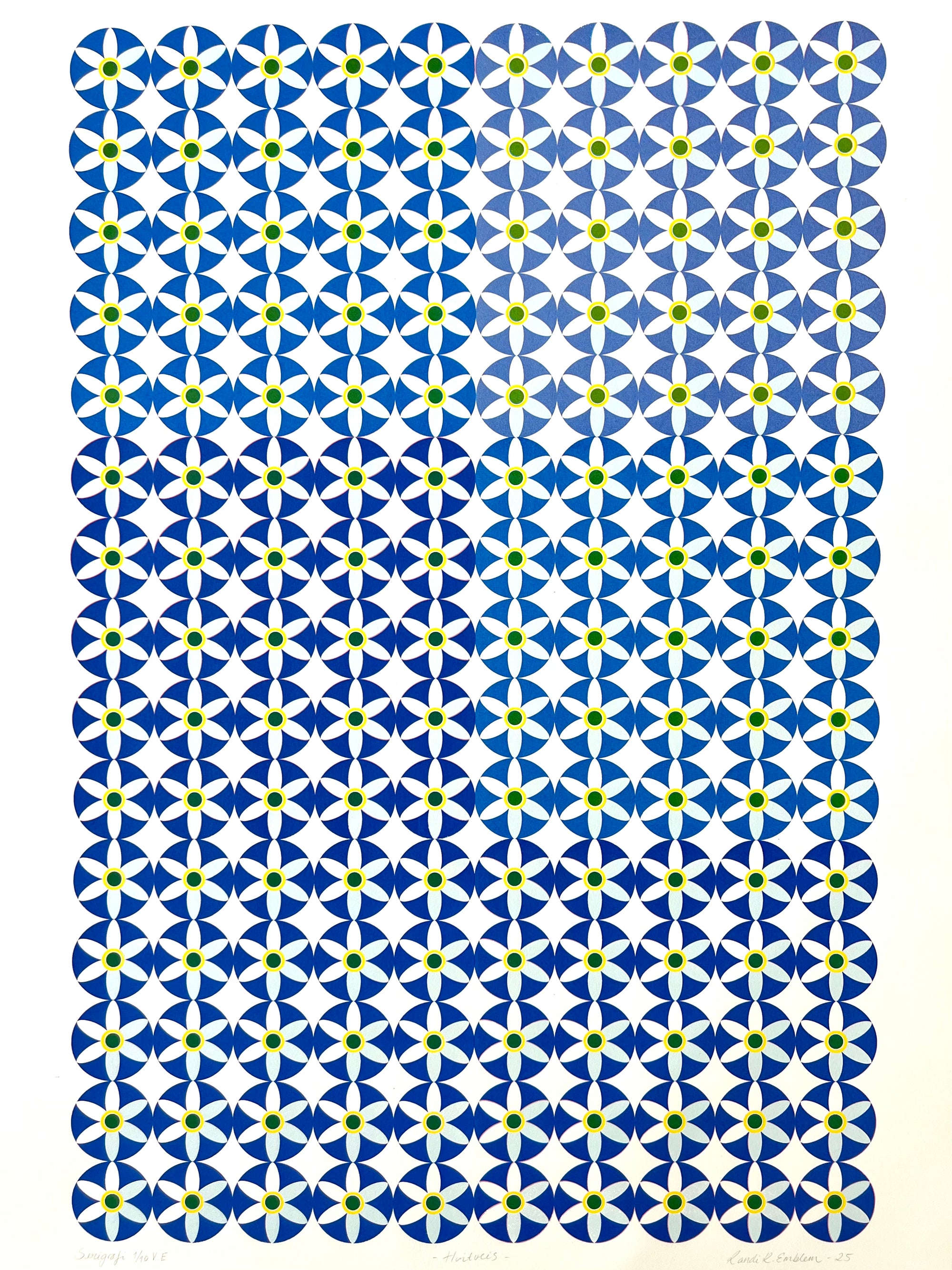 Hvitveis