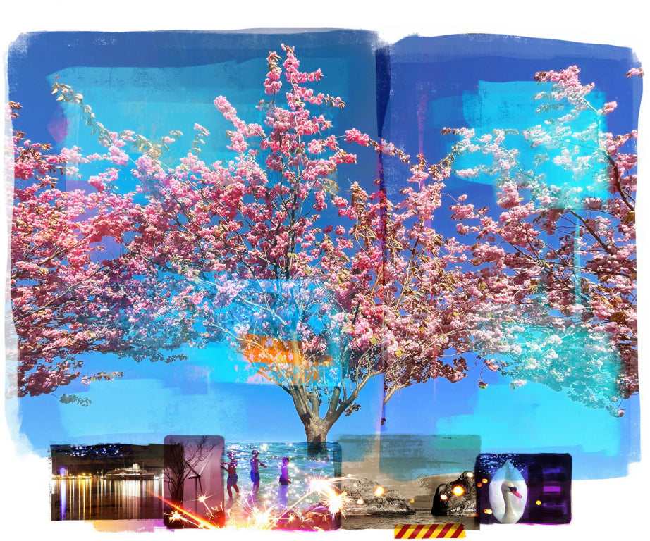 Bloom / The Ship / V.I, litografi, foto av Per Fronth, 82 x 67 cm (ark 100 x 76 cm)