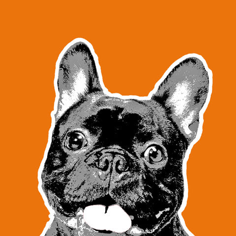 Bulldog orange