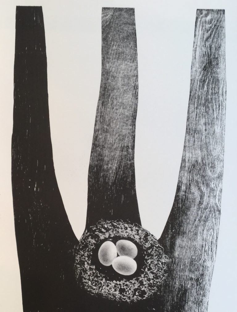 Drømmen om vinger III