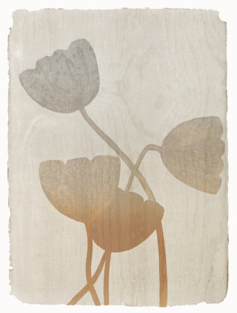 Hemmelighetens hage I