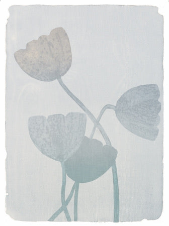 Hemmelighetens hage II