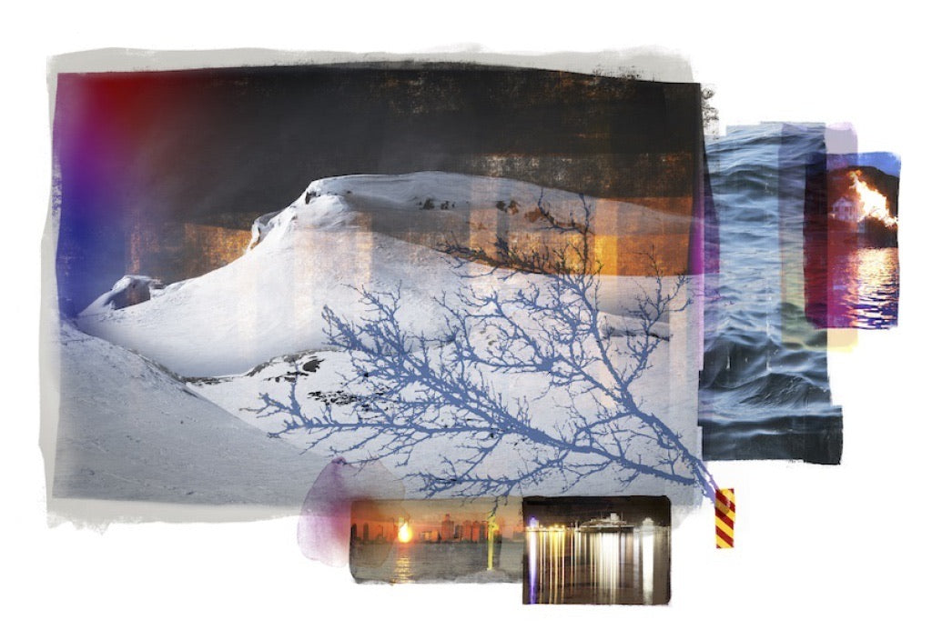 Reservoir/New York Dawn/Blue Birch