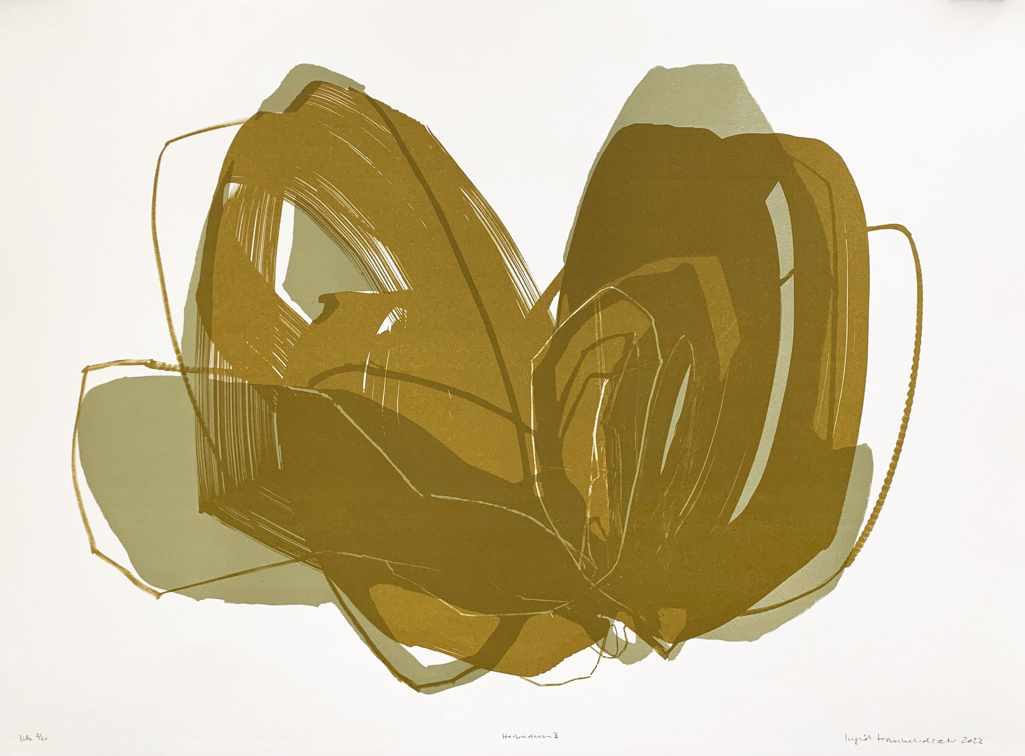 Herbarium II