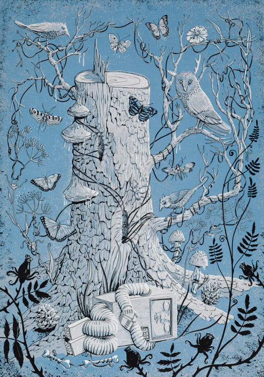 Silent equinox (blå)