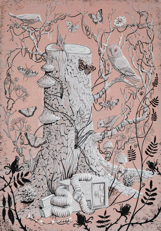 Silent equinox (rosa)