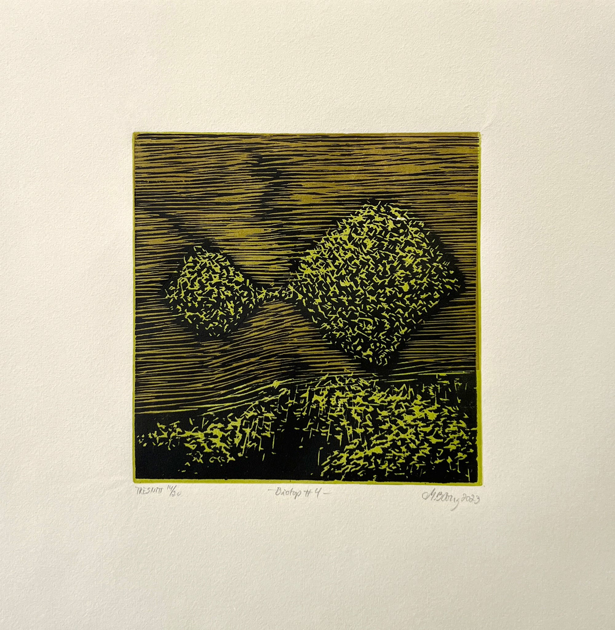 Biotop #4