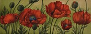 Papaver av Jan Harr