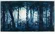 Into the Woods av Ingeborg Stana